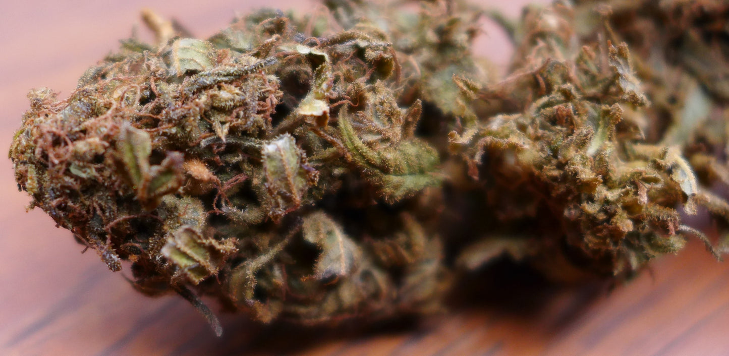Critical Skunk