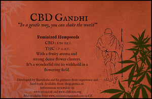 CBD Gandhi 5 fem packet