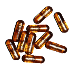 Dr. Nice CBD capsules (vegan)